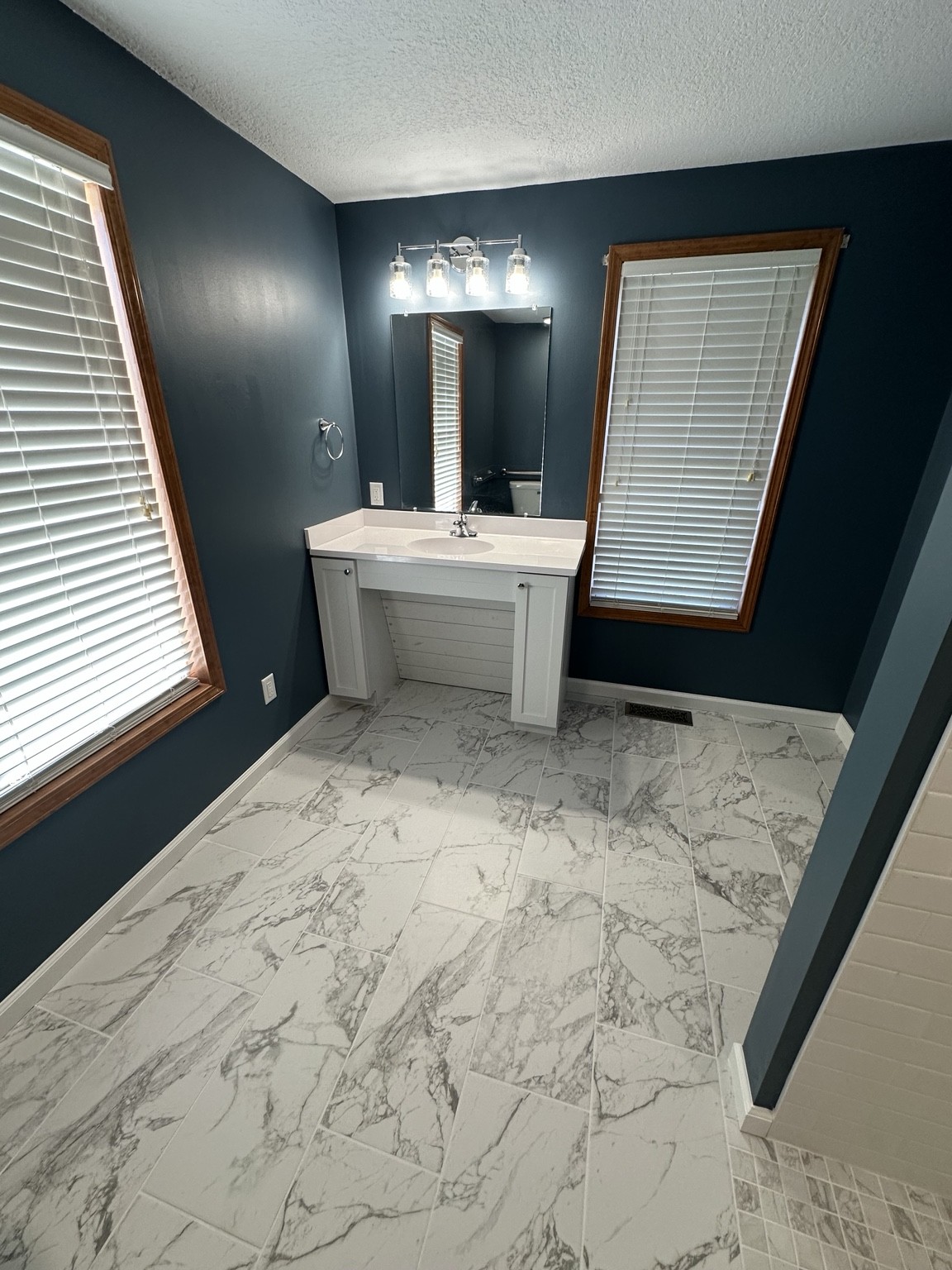 ADA Walk-In Shower & Bathroom
